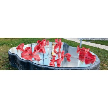 Violence against Women